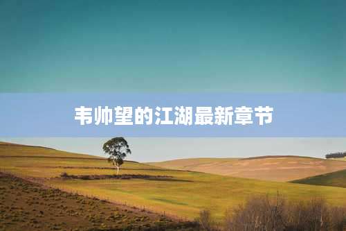 韦帅望的江湖最新章节