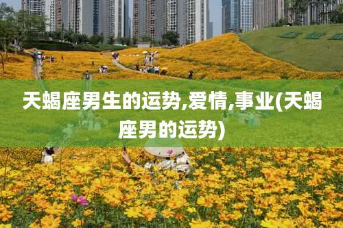 天蝎座男生的运势,爱情,事业(天蝎座男的运势)