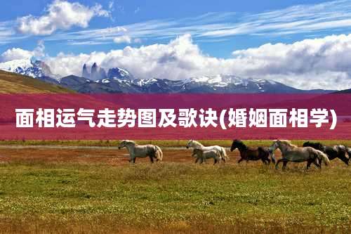 面相运气走势图及歌诀(婚姻面相学)