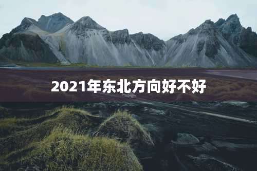 2021年东北方向好不好