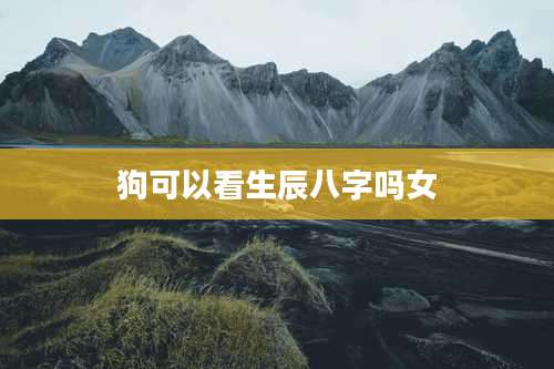 狗可以看生辰八字吗女