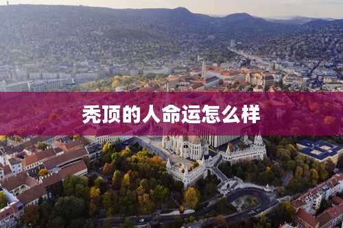 秃顶的人命运怎么样