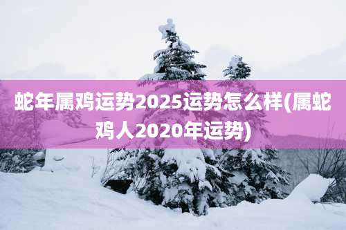 蛇年属鸡运势2025运势怎么样(属蛇鸡人2020年运势)