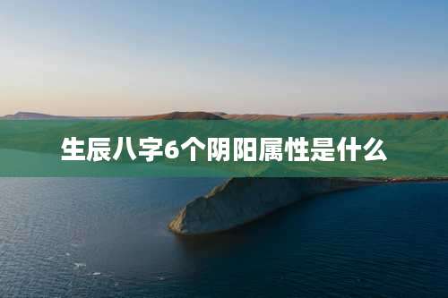 生辰八字6个阴阳属性是什么