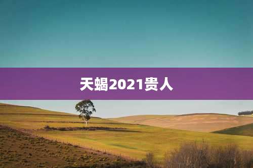 天蝎2021贵人