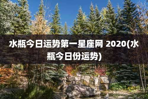 水瓶今日运势第一星座网 2020(水瓶今日份运势)