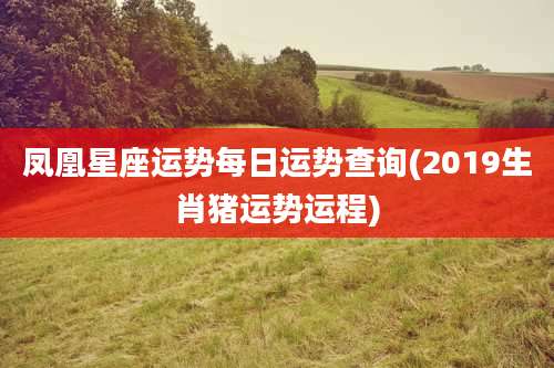 凤凰星座运势每日运势查询(2019生肖猪运势运程)
