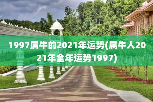 1997属牛的2021年运势(属牛人2021年全年运势1997)