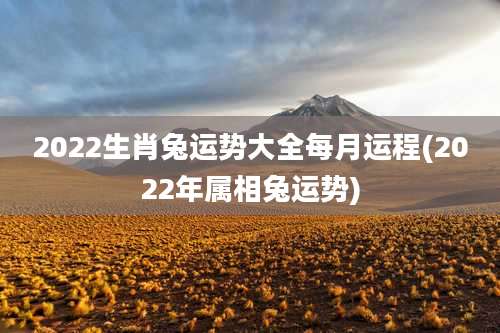 2022生肖兔运势大全每月运程(2022年属相兔运势)