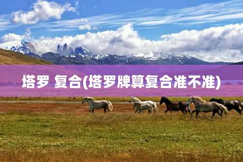 塔罗 复合(塔罗牌算复合准不准)