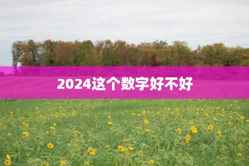 2024这个数字好不好
