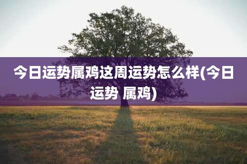 今日运势属鸡这周运势怎么样(今日运势 属鸡)