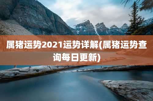 属猪运势2021运势详解(属猪运势查询每日更新)