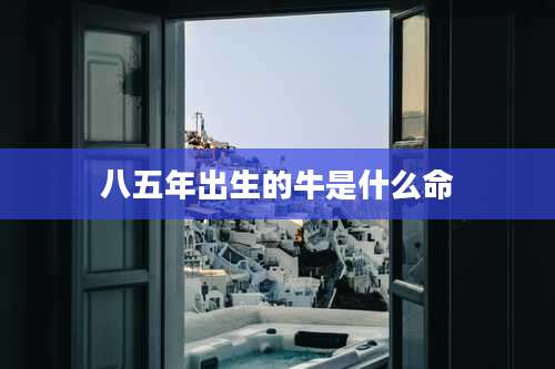 八五年出生的牛是什么命