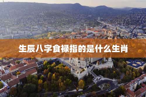 生辰八字食禄指的是什么生肖