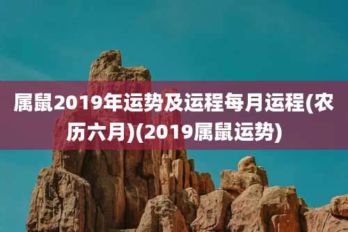 属鼠2019年运势及运程每月运程(农历六月)(2019属鼠运势)