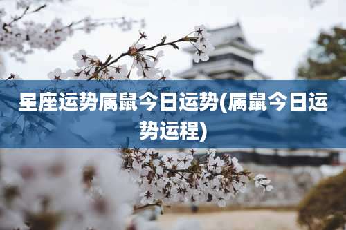 星座运势属鼠今日运势(属鼠今日运势运程)