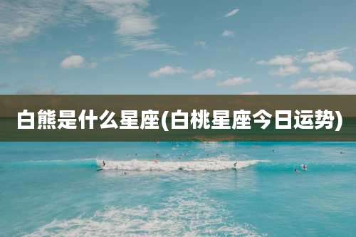 白熊是什么星座(白桃星座今日运势)