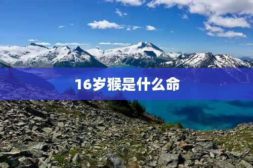 16岁猴是什么命