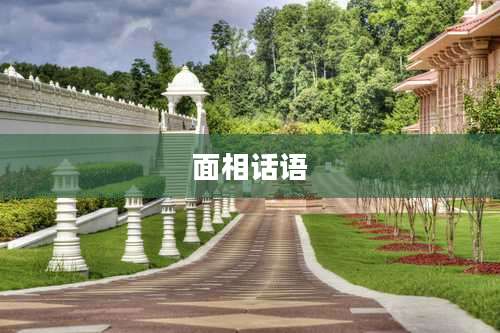 面相话语