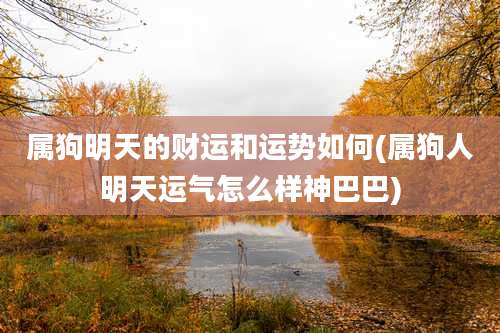 属狗明天的财运和运势如何(属狗人明天运气怎么样神巴巴)