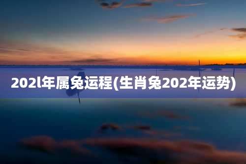 202l年属兔运程(生肖兔202年运势)