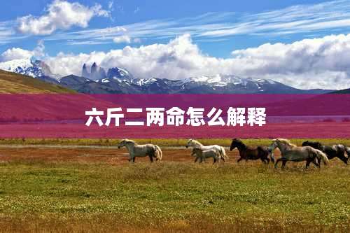 六斤二两命怎么解释