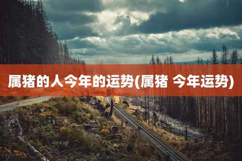 属猪的人今年的运势(属猪 今年运势)