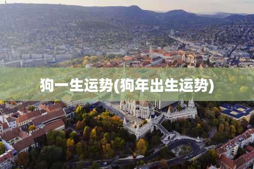 狗一生运势(狗年出生运势)