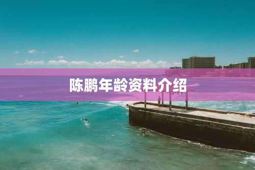 陈鹏年龄资料介绍