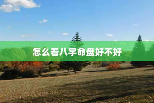 怎么看八字命盘好不好