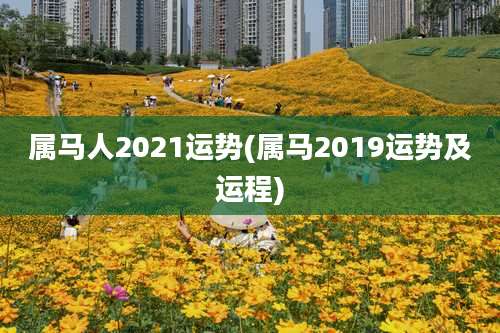 属马人2021运势(属马2019运势及运程)