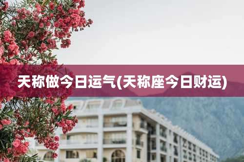 天称做今日运气(天称座今日财运)