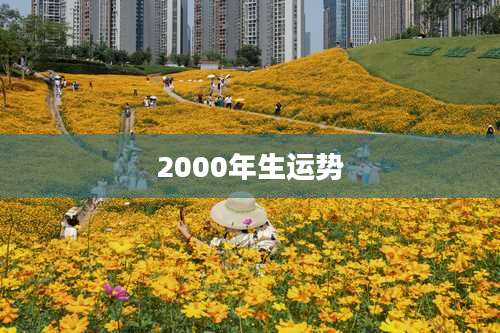 2000年生运势