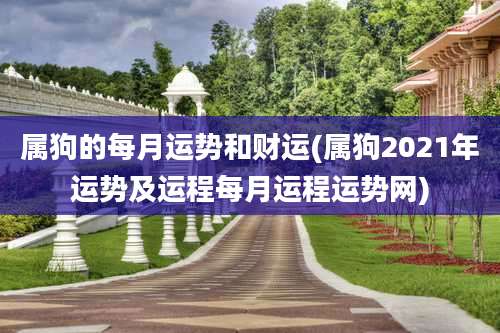 属狗的每月运势和财运(属狗2021年运势及运程每月运程运势网)