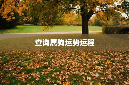 查询属狗运势运程