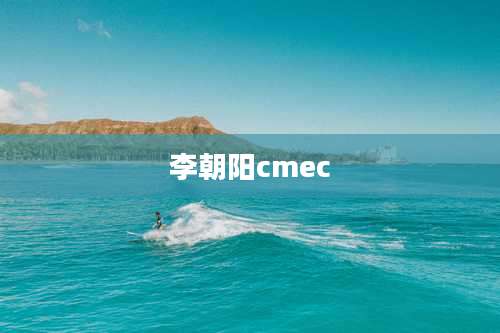 李朝阳cmec