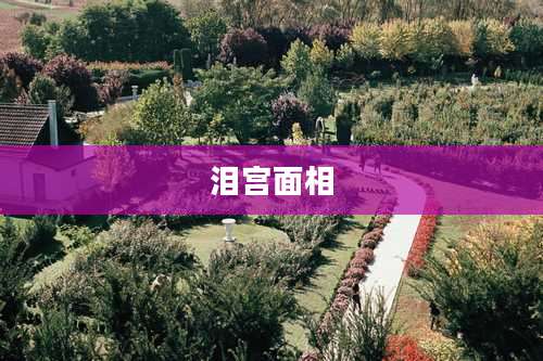 泪宫面相