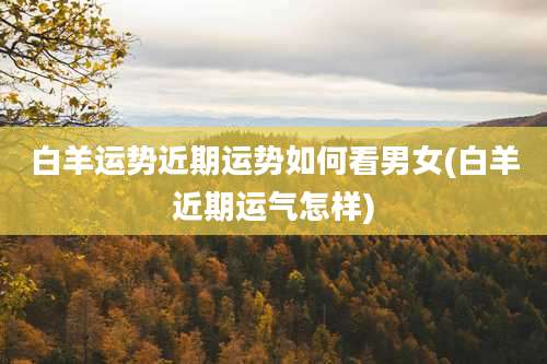 白羊运势近期运势如何看男女(白羊近期运气怎样)