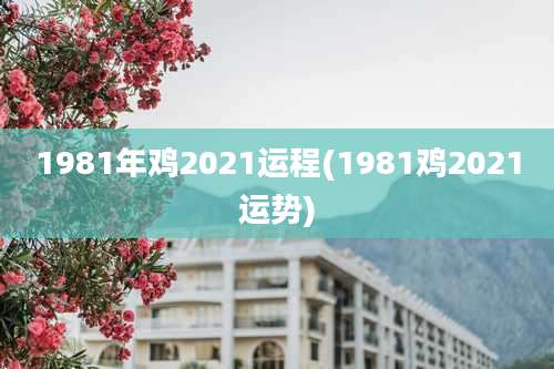 1981年鸡2021运程(1981鸡2021运势)