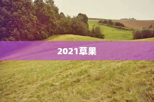 2021草果