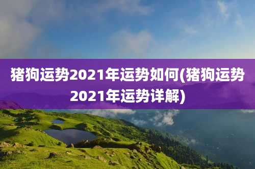 猪狗运势2021年运势如何(猪狗运势2021年运势详解)