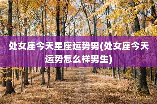 处女座今天星座运势男(处女座今天运势怎么样男生)
