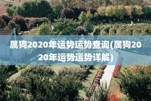 属狗2020年运势运势查询(属狗2020年运势运势详解)
