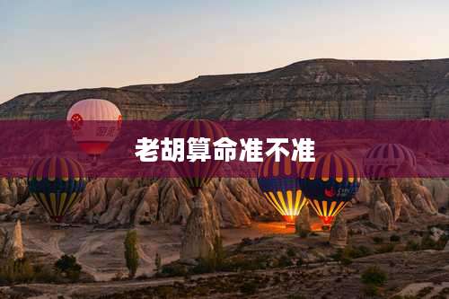 老胡算命准不准