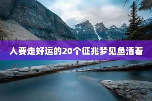 人要走好运的20个征兆梦见鱼活着
