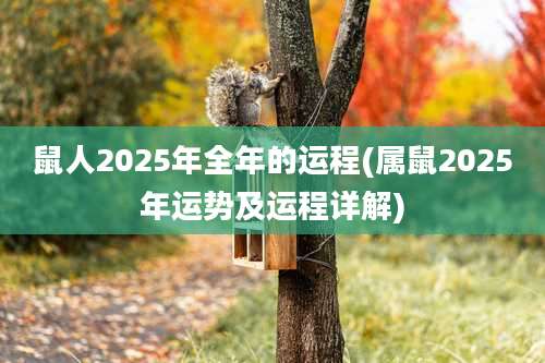 鼠人2025年全年的运程(属鼠2025年运势及运程详解)