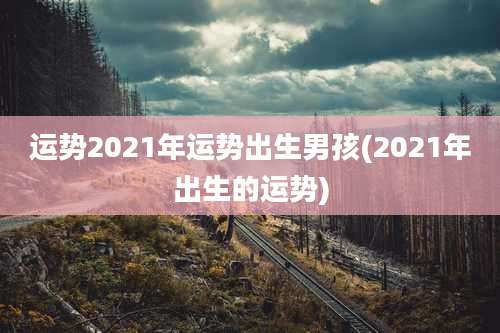 运势2021年运势出生男孩(2021年出生的运势)