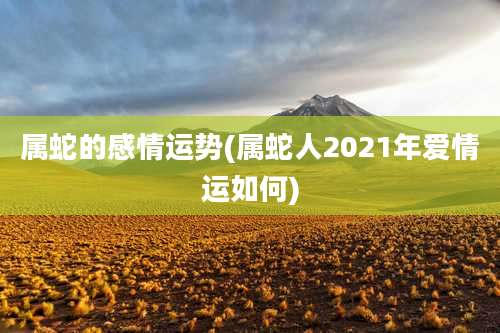 属蛇的感情运势(属蛇人2021年爱情运如何)