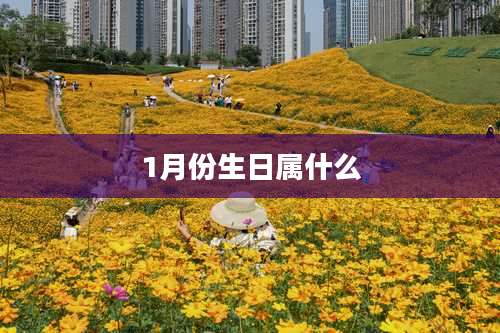 1月份生日属什么